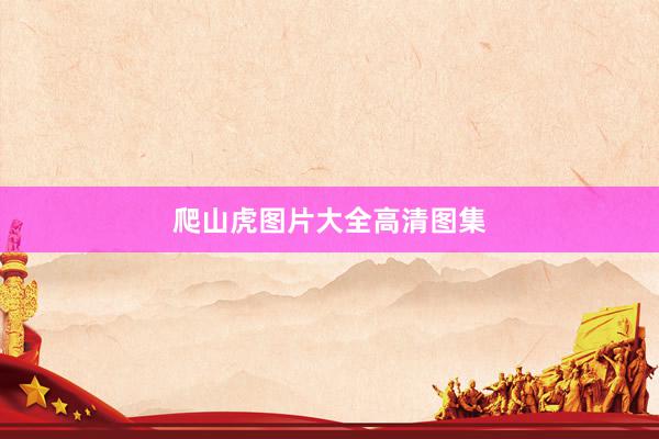 爬山虎图片大全高清图集