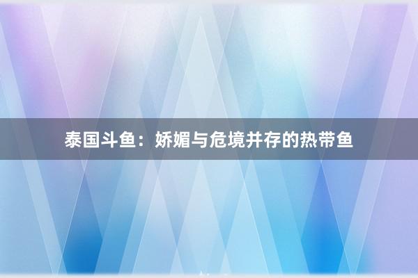 泰国斗鱼：娇媚与危境并存的热带鱼