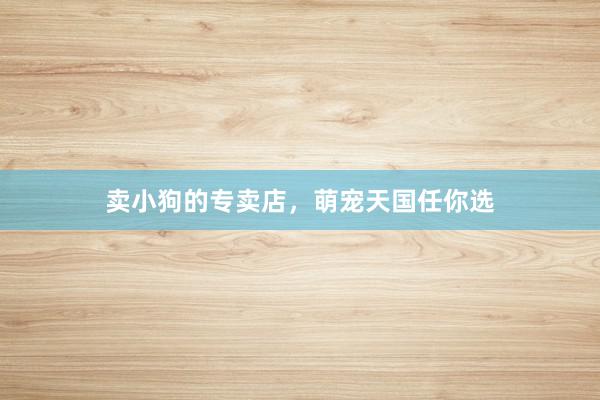 卖小狗的专卖店，萌宠天国任你选