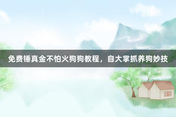免费锤真金不怕火狗狗教程，自大掌抓养狗妙技