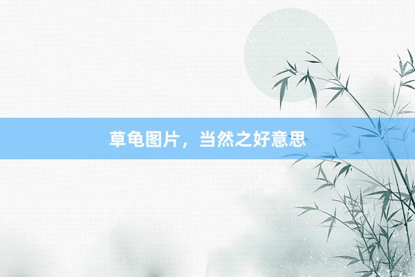 草龟图片，当然之好意思